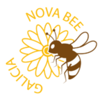Nova Bee Galicia